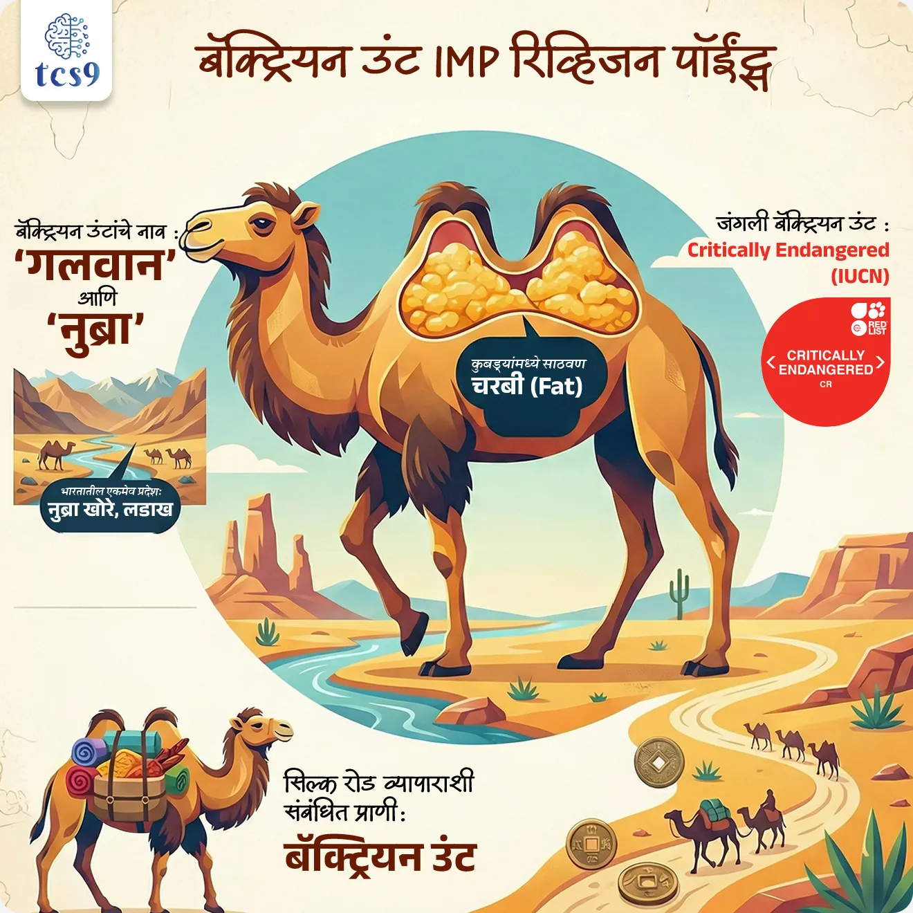 🔑 परीक्षेच्या दृष्टीने IMP रिव्हिजन पॉईंट्स : बॅक्ट्रियन उंट
• बॅक्ट्रियन उंट नाव : ‘गलवान’ आणि ‘नुब्रा’ 
• भारतातील एकमेव प्रदेश : नुब्रा खोरे, लडाख
• कुबड्यांमध्ये साठवण : चरबी (Fat)
• जंगली बॅक्ट्रियन उंट : Critically Endangered (IUCN)
• सिल्क रोड व्यापाराशी संबंधित प्राणी : बॅक्ट्रियन उंट