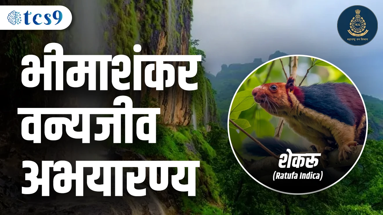 Bhimashankar Vanyjiv Abhayranya | Pune | Shekru | 3000 Foot Unch | Thane | Raigad | Maharashtracha Rajya Prani | Mahakay Gilhari