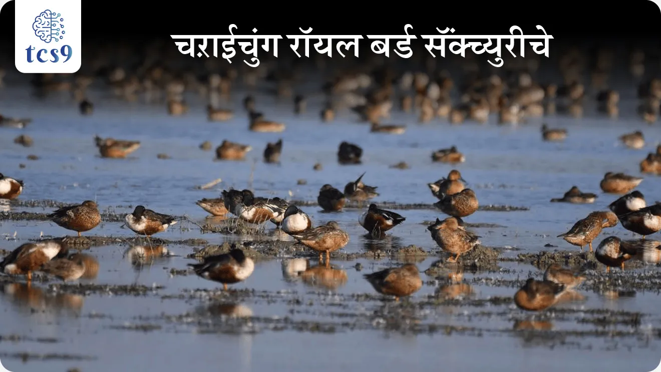 • आसाममधील माजुली बेट (Majuli Island) येथील जवळपास निष्क्रिय झालेल्या चऱाईचुंग रॉयल बर्ड सॅंक्च्युरीचे पुनरुज्जीवन करण्यासाठी चऱाईचुंग महोत्सव दुसऱ्यांदा आयोजित करण्यात आला आहे.

चऱाईचुंग महोत्सव म्हणजे काय ?
• चऱाईचुंग महोत्सव हा आशियातील पहिल्या संरक्षित रॉयल बर्ड सॅंक्च्युरीच्या 392 वर्षांच्या वारशाची आठवण करून देतो.
• 1633 साली अहोम राजा स्वर्गदेव प्रताप सिंहा (Ahom king Swargadeu Pratap Singha) यांनी चऱाईचुंग अभयारण्याची स्थापना केली होती.

चऱाईचुंग महोत्सवाचे उद्दिष्ट व वैशिष्ट्ये