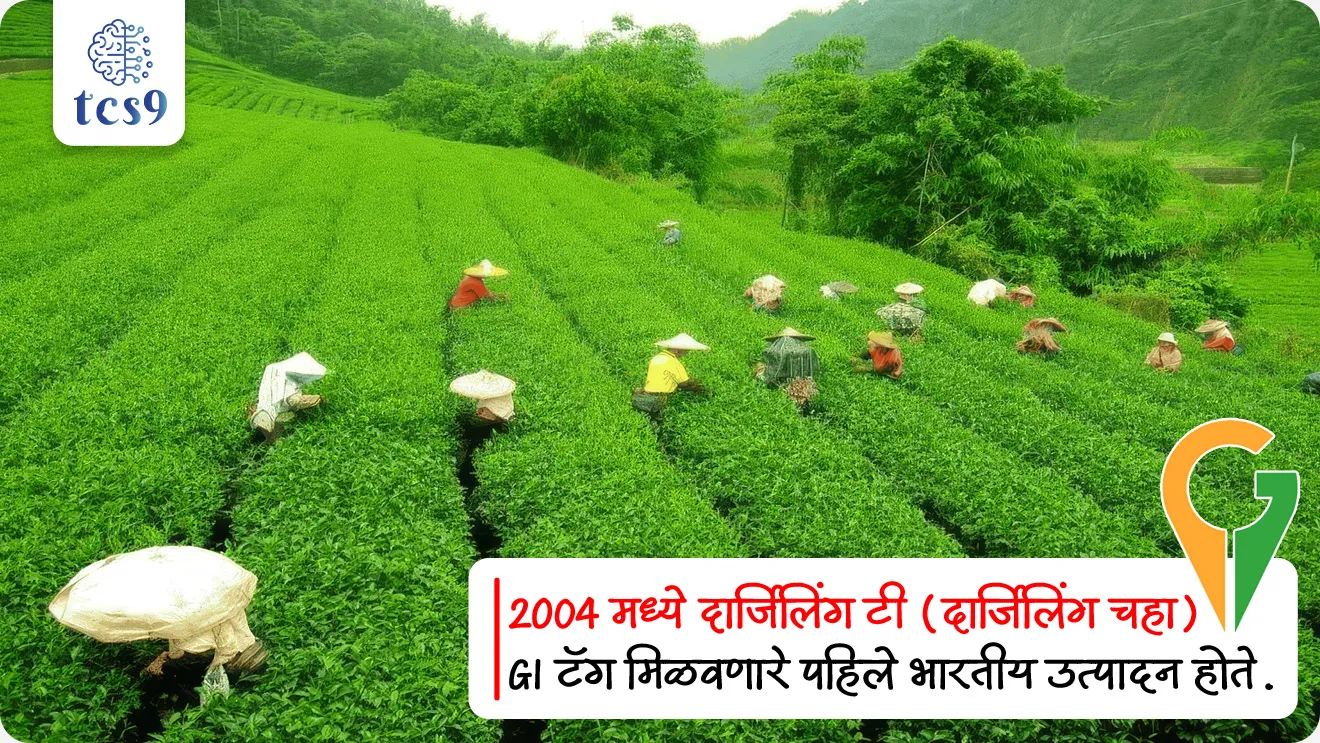 GI टॅग मिळवणारे पहिले भारतीय उत्पादन कोणते ?
• 2004 मध्ये दार्जिलिंग टी (दार्जिलिंग चहा) GI टॅग मिळवणारे पहिले भारतीय उत्पादन होते.