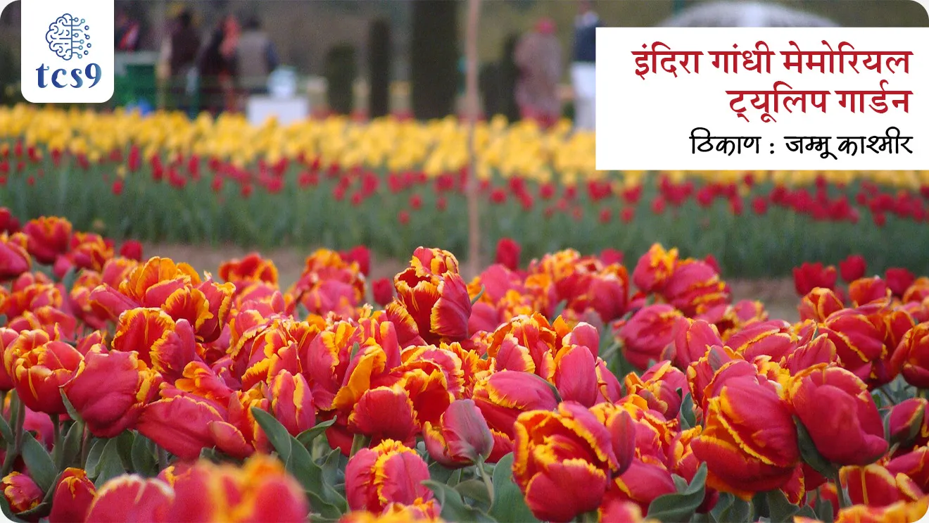 इंदिरा गांधी मेमोरियल ट्यूलिप गार्डन 
Indira Gandhi Memorial Tulip Garden


📚 Subject : GS - पर्यटन, सण आणि उत्सव 

सरळसेवा, तलाठी, वनरक्षक, पोलीस भरती, अग्निवीर , रेल्वे भरती, SSC GD, MPSC, UPSC परीक्षेसाठी विचारलेले / संभाव्य महत्त्वपूर्ण  प्रश्न

प्रश्न) आशियातील सर्वात मोठे ट्यूलिप गार्डन असलेले इंदिरा गांधी मेमोरियल ट्यूलिप गार्डन कोणत्या ठिकाणी आहे ?
(सरळसेवा भरती, रेल्वे भरती, SC GD 2021, SSC CHSL 2021 )

1. धर्मशाळा
2. शिमला
3. देहरादून
4. श्रीनगर

उत्तर : श्रीनगर (Srinagar) 


📰 बातमी काय  ? 
जम्मू आणि काश्मीरच्या मुख्यमंत्र्यांनी इंदिरा गांधी मेमोरियल ट्यूलिप गार्डनचे अधिकृत उद्घाटन केले. 

इंदिरा गांधी मेमोरियल ट्युलिप गार्डन बद्दल परीक्षेसाठी IMP वनलाईनर पॉईंट्स : 

• श्रीनगर मधील इंदिरा गांधी मेमोरियल ट्युलिप गार्डन आशियातील सर्वात मोठे ट्यूलिप उद्यान म्हणून लंडनच्या वर्ल्ड बुक ऑफ रेकॉर्डमध्ये दाखल झाले.
• हे झाबरवान पर्वतरांगेच्या पायथ्याशी तसेच दल सरोवरच्या (Dal Lake) किनाऱ्यावर वसलेले आहे.
•  गार्डन 30 हेक्टर क्षेत्रात पसरलेले असून या गार्डनमध्ये 48 प्रकारची ट्युलिप फुलं आहेत.
•  काश्मीरमधील फुलशेती आणि पर्यटनाला चालना देण्यासाठी हे गार्डन 2007 मध्ये उघडण्यात आले होते.
•   इंदिरा गांधी मेमोरियल ट्युलिप गार्डन पूर्वी  " सिराज बाग " या नावाने ओळखले जात असे.

ट्यूलिप महोत्सव (Tulip Festival) कोणत्या शहरात प्रसिद्ध आहे ? 
(SSC CHSL 2023) 

• ट्यूलिप महोत्सव हा भारतातील जम्मू आणि काश्मीर केंद्र शासित प्रदेशााची राजधानी श्रीनगर येथे आयोजित केला जाणारा वार्षिक कार्यक्रम आहे.
•  काश्मीर खोऱ्यात वसंत ऋतू सुरू होण्याच्या काळात हा उत्सव आयोजित केला जातो.
• साधारणपणे मार्च आणि एप्रिल महिन्यात जेव्हा श्रीनगरमधील ट्यूलिप बाग पूर्णपणे बहरलेली असते, तेव्हा ट्यूलिप महोत्सव आयोजित केला जातो. 
• बागेतील विविध प्रकारच्या फुलांच्या श्रेणींचे प्रदर्शन पर्यटकांसाठी खास मेजवानी आहे.
• त्याचबरोबर या महोत्सवात जम्मू आणि काश्मीरच्या समृद्ध सांस्कृतिक वारशाचे दर्शन घडवण्यासाठी सांस्कृतिक कार्यक्रम, हस्तकला प्रदर्शने आणि इतर उपक्रमांचा समावेश आहे.
• या महोत्सवात जगभरातून मोठ्या संख्येने पर्यटक येतात.
•  हा उत्सव जम्मू आणि काश्मीर सरकारच्या पर्यटन प्रयत्नांचा एक भाग आहे.