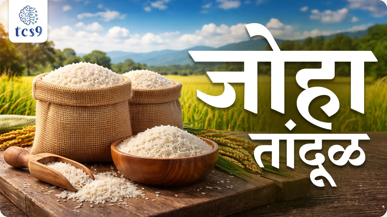 joha rice, united kingdom and italy, 25 metrics tonnes, texture, upper assam, central assam, registration and protection, darjeeling tea, world current affair, jagtik ghadamodi, world news, Chalu Ghadamodi 2025, Chalu Ghadamodi Marathi, Chalu Ghadamodi PDF Download, Chalu Ghadamodi Test Series, Chalu Ghadamodi Prashnottare, Mahatvachya Chalu Ghadamodi, Chalu Ghadamodi Sarav Prashna, Darrojchya Chalu Ghadamodi, Chalu Ghadamodi Marathi Masik, Talathi Chalu Ghadamodi 2025, Talathi Bharti Chalu Ghadamodi, Talathi Spardha Pariksha Chalu Ghadamodi, RRB Group D Chalu Ghadamodi Marathi, Railway Bharti Chalu Ghadamodi, RRB Sarav Prashna Chalu Ghadamodi, Maharashtra Police Bharti Chalu Ghadamodi, Police Bharti Chalu Ghadamodi Prashnottare, Maharashtra Police Chalu Ghadamodi 2025, SSC GD Chalu Ghadamodi Marathit, SSC Bharti Chalu Ghadamodi, SSC Prashnsancha Chalu Ghadamodi, Vanrakshak Bharti Chalu Ghadamodi, Vanrakshak Pariksha Chalu Ghadamodi, Vanrakshak Prashnapatrika Chalu Ghadamodi, Agniveer Bharti Chalu Ghadamodi 2025, Agniveer Spardha Pariksha Chalu Ghadamodi, Agniveer Sarav Prashna Chalu Ghadamodi, tcs chalu ghadamodi, ibps chalu ghadamodi,
chalu Ghadamodi Marathi, current Affair marathi madhe, 2024 cha chalu Ghadamodi, police Bharti chalu Ghadamodi, police Bharti prashnasanch, police Bharti GK prashna, Mpsc chalu Ghadamodi, sarkari Naukri, sarkari job, sarkari yojna, Maharashtra cha chalu Ghadamodi, Maharashtra government yojna, PSI syllabus, PSI cutoff, police Bharti syllabus, police Bharti cutoff, police Bharti merit, MPSC Sathi book, MPSC Sathi pustak, police Bharti Sathi pustak, police Bharti magil prashnapatrika, MPSC previous years question papers, Mumbai police Bharti, Mumbai police Bharti Lekhi kadhi ahe, government GR, police Bharti result, MPSC result, SSC GD merit, sscgd syllabus, army Bharti merit, army Bharti result, UPSC Marathi, combine pariksha, talathi, talathi syllabus, talathi cutoff, talathi book list, talathi result, talathi merit, tcs mock test, tcs pattern, ibps pattern, tcs pyq, tcs sarav paper, tcs talathi paper, tcs pattern notes, tcs prashnasanch, tcs gk gs, tcs maths, tcs talathi, talathi jaga kiti ahe, saralseva exam, saralseva pariksha, saralseva result, zilha parishad Bharti, zilha parishad prashnapstrika, dinvishesh, Chalu Ghadamodi Marathi madhun, current Affair marathi madhe, headline-news, maharashtra-news, jhattpatt-batmya, pib, marathi batmya, government new channel, Pib, akashvani, the Hindu, Indian express, Loksatta, Lokmat, Dainik Bhaskar, sansad news, editorial, sampadkiya, vishleshan, Loksabha news, rajyasabha news, SSC GD notes, sscgd question papers, sscgd exam answer, results, SSC GD admit card, sscgd ground, exam centre, mpsc main answer writing, maharashtra police recruitment 2025, maharashtra police exam updates, maharashtra police bharti latest news, maharashtra police exam calendar 2025, maharashtra police exam syllabus pdf download, maharashtra police bharti exam pattern 2025, maharashtra police constable syllabus, physical test details maharashtra police, maharashtra police bharti admit card 2025, maharashtra police hall ticket download, maharashtra police exam admit card date, maharashtra police study material pdf, maharashtra police exam preparation tips, maharashtra police mock tests free, best books for maharashtra police exam, maharashtra police bharti previous year papers pdf, maharashtra police constable sample papers, maharashtra police si model question papers, maharashtra police eligibility criteria 2025, age limit for maharashtra police bharti, educational qualification maharashtra police, maharashtra police result 2025, maharashtra police merit list, maharashtra police exam cutoff marks, maharashtra police online application 2025, maharashtra police physical test details, document verification for maharashtra police bharti, maharashtra police recruitment 2024, maharashtra police exam calendar 2024, maharashtra police bharti exam pattern 2024, maharashtra police bharti admit card 2024, maharashtra police eligibility criteria 2024, maharashtra police result 2024, maharashtra police online application 2024, RRB Group D, Railway Group D, Railway Recruitment Board Group D, Railway Group D Exam, Railway Group Notification, Railway Group D Vacancy, Railway Group D Syllabus, Railway Group D Eligibility, Railway Group D Application, Railway Group D Admit Card, Railway Group D Result, Railway Group D Cut Off, Railway Group D Salary, Railway Group D Jobs, RRB Group D Study Material, RRB Group D Previous Papers, RRB Group D Mock Tests, RRB Group D Exam Pattern, current Affair, General Science, GK, GS, General Awareness, current affairs marathi , Mathematics, General Intelligence and reasoning, RRB chalu Ghadamodi, RRB Group D marathi notes, samanya vinyan, samanya, nyan, railway notes marathi madhe, railway pagar, pagar ani bhatta, railway bharti notes marathi, railway bhartichi tayari kashi karaychi, railway bharti magil varshanche prashnapatrika, railway bhartipyq, railway bharti prashnasanch, railway bharti test paper, railwetvnokrichi sandhi, railway job, railway bharticha syllabus, railway bharti pattern, railway bharti imp prashn, railway bhartila vicharle janare prashn, competitive exam, spardha parisha, railway bharti online class, railway bharti class, railway bharti chi tayari kashi karaychi, RRB Group D Syllabus, RRB Group D Previous Papers, RRB Group D Exam Pattern, RRB Group D Eligibility Criteria, RRB Group D Notification, RRB Group D Application, RRB Group D Admit Card, RRB Group D Result, RRB Group D Cut Off, RRB Group D Salary, RRB Group D Jobs, RRB Group D Coaching, RRB Group D Study Material, RRB Group D Mock Tests, Railway Group D Level 1, RRB Group D 2025, RRB Group D Level 1, RRB Group D Posts, RRB Group D Exam Pattern, RRB Group D Exam Date, RRB Group D Online Application, RRB Group D Previous Papers, RRB Group D Preparation Tips, RRB Group D Study Material, RRB Group D Coaching, RRB Group D Mock Tests, How to prepare for RRB Group D exam, RRB Group D exam syllabus 2025, RRB Group D eligibility criteria 2025, RRB Group D application form 2025, RRB Group D admit card download, RRB Group D result date 2025, RRB Group D cut off marks 2025, RRB Group D salary and allowances, Best books for RRB Group D exam, Online coaching for RRB Group D, Railway Group D , RRB Group D, Railway Jobs , Government Jobs, Railway Recruitment, RRB Group D Exam, Railway Group D Vacancy, RRB Group D Notification, Railway Group D Application, RRB Group D Salary, aajcha dinveshesh, suvichaar, jagtik dinveshsh, dinveshsh