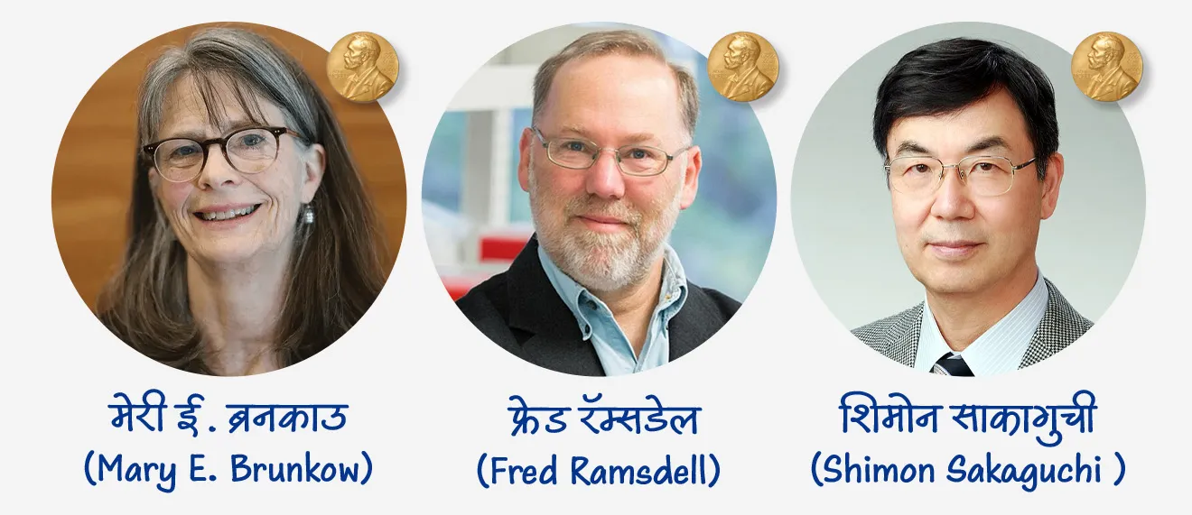 • मेरी ई. ब्रनकाउ (Mary E. Brunkow), फ्रेड रॅम्सडेल (Fred Ramsdell) आणि शिमोन साकागुची (Shimon Sakaguchi ) या वैज्ञानिकांनी रेग्युलेटरी टी पेशींचा शोध लावला.
• त्यांनी दाखवून दिलं की या पेशी शरीराच्या रोगप्रतिकार प्रणालीला स्वतःच्या ऊतींवर हल्ला करू देत नाहीत.
• त्यांच्या शोधामुळे डॉक्टरांना रोगप्रतिकार प्रणालीशी संबंधित आजार, जसे की अॅलर्जी, कर्करोग, किंवा अवयव प्रत्यारोपण नकार यांचा अभ्यास आणि उपचार समजून घेण्यात मदत झाली.