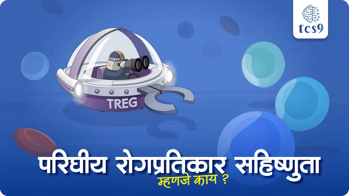 Parighiya rogpratikarak sahishnuta, What is Immunology ?, What is Peripheral Immune Tolerance ?, 2025 Nobel Prize awarded, Mary E. Brunkow, Fred Ramsdell, and Shimon Sakaguchi, vinyan ani tantranyan, science and technology, rogbaninAjar, shod ani shashranya, scientists, who discovered, nobel prize,  nobel Puraskar, world current affair, jagtik ghadamodi, world news, Chalu Ghadamodi 2025, Chalu Ghadamodi Marathi, Chalu Ghadamodi PDF Download, Chalu Ghadamodi Test Series, Chalu Ghadamodi Prashnottare, Mahatvachya Chalu Ghadamodi, Chalu Ghadamodi Sarav Prashna, Darrojchya Chalu Ghadamodi, Chalu Ghadamodi Marathi Masik, Talathi Chalu Ghadamodi 2025, Talathi Bharti Chalu Ghadamodi, Talathi Spardha Pariksha Chalu Ghadamodi, RRB Group D Chalu Ghadamodi Marathi, Railway Bharti Chalu Ghadamodi, RRB Sarav Prashna Chalu Ghadamodi, Maharashtra Police Bharti Chalu Ghadamodi, Police Bharti Chalu Ghadamodi Prashnottare, Maharashtra Police Chalu Ghadamodi 2025, SSC GD Chalu Ghadamodi Marathit, SSC Bharti Chalu Ghadamodi, SSC Prashnsancha Chalu Ghadamodi, Vanrakshak Bharti Chalu Ghadamodi, Vanrakshak Pariksha Chalu Ghadamodi, Vanrakshak Prashnapatrika Chalu Ghadamodi, Agniveer Bharti Chalu Ghadamodi 2025, Agniveer Spardha Pariksha Chalu Ghadamodi, Agniveer Sarav Prashna Chalu Ghadamodi, tcs chalu ghadamodi, ibps chalu ghadamodi, chalu Ghadamodi Marathi,   current Affair marathi madhe, 2024 cha chalu Ghadamodi,   police Bharti chalu Ghadamodi,   police Bharti prashnasanch,   police Bharti GK prashna,   Mpsc chalu Ghadamodi,   sarkari Naukri,   sarkari job,   sarkari yojna,   Maharashtra cha chalu Ghadamodi,   Maharashtra government yojna,   PSI syllabus, PSI cutoff,   police Bharti syllabus,   police Bharti cutoff,   police Bharti merit,   MPSC Sathi book,   MPSC Sathi pustak,   police Bharti Sathi pustak,   police Bharti magil prashnapatrika,   MPSC previous years question papers,   Mumbai police Bharti,   Mumbai police Bharti Lekhi kadhi ahe,   government GR,   police Bharti result,   MPSC result,   SSC GD merit,   sscgd syllabus,   army Bharti merit,   army Bharti result,   UPSC Marathi,   combine pariksha,   talathi,   talathi syllabus,   talathi cutoff,   talathi book list,   talathi result,   talathi merit, tcs mock test, tcs pattern, ibps pattern, tcs pyq, tcs sarav paper, tcs talathi paper, tcs pattern notes, tcs prashnasanch, tcs gk gs, tcs maths, tcs talathi,  talathi jaga kiti ahe,   saralseva exam,   saralseva pariksha,   saralseva result,   zilha parishad Bharti,   zilha parishad prashnapstrika, dinvishesh, Chalu Ghadamodi Marathi madhun, current Affair marathi madhe, headline-news, maharashtra-news, jhattpatt-batmya, pib, marathi batmya, government new channel, Pib, akashvani, the Hindu, Indian express, Loksatta, Lokmat, Dainik Bhaskar, sansad news, editorial, sampadkiya, vishleshan, Loksabha news, rajyasabha news, SSC GD notes, sscgd question papers, sscgd exam answer, results, SSC GD admit card, sscgd ground, exam centre, mpsc main answer writing, maharashtra police recruitment 2025, maharashtra police exam updates, maharashtra police bharti latest news, maharashtra police exam calendar 2025, maharashtra police exam syllabus pdf download, maharashtra police bharti exam pattern 2025, maharashtra police constable syllabus, physical test details maharashtra police, maharashtra police bharti admit card 2025, maharashtra police hall ticket download, maharashtra police exam admit card date, maharashtra police study material pdf, maharashtra police exam preparation tips, maharashtra police mock tests free, best books for maharashtra police exam, maharashtra police bharti previous year papers pdf, maharashtra police constable sample papers, maharashtra police si model question papers, maharashtra police eligibility criteria 2025, age limit for maharashtra police bharti, educational qualification maharashtra police, maharashtra police result 2025, maharashtra police merit list, maharashtra police exam cutoff marks, maharashtra police online application 2025, maharashtra police physical test details, document verification for maharashtra police bharti, maharashtra police recruitment 2024, maharashtra police exam calendar 2024, maharashtra police bharti exam pattern 2024, maharashtra police bharti admit card 2024, maharashtra police eligibility criteria 2024, maharashtra police result 2024, maharashtra police online application 2024, RRB Group D, Railway Group D, Railway Recruitment Board Group D, Railway Group D Exam, Railway Group Notification, Railway Group D Vacancy, Railway Group D Syllabus, Railway Group D Eligibility, Railway Group D Application, Railway Group D Admit Card, Railway Group D Result, Railway Group D Cut Off, Railway Group D Salary, Railway Group D Jobs, RRB Group D Study Material, RRB Group D Previous Papers,  RRB Group D Mock Tests, RRB Group D Exam Pattern, current Affair, General Science, GK, GS, General  Awareness, current  affairs marathi , Mathematics, General Intelligence and reasoning, RRB chalu Ghadamodi, RRB Group D marathi notes, samanya vinyan, samanya, nyan, railway notes marathi madhe, railway pagar, pagar ani bhatta, railway bharti notes marathi, railway bhartichi tayari kashi karaychi, railway bharti magil varshanche prashnapatrika, railway bhartipyq, railway bharti prashnasanch, railway bharti test paper, railwetvnokrichi sandhi, railway job, railway bharticha syllabus, railway bharti pattern, railway bharti imp prashn, railway bhartila vicharle janare prashn, competitive exam, spardha parisha, railway bharti online class, railway bharti class, railway bharti chi tayari kashi karaychi,  RRB Group D Syllabus, RRB Group D Previous Papers, RRB Group D Exam Pattern, RRB Group D Eligibility Criteria, RRB Group D Notification, RRB Group D Application, RRB Group D Admit Card, RRB Group D Result, RRB Group D Cut Off, RRB Group D Salary, RRB Group D Jobs, RRB Group D Coaching, RRB Group D Study Material, RRB Group D Mock Tests, Railway Group D Level 1, RRB Group D 2025, RRB Group D Level 1, RRB Group D Posts, RRB Group D Exam Pattern, RRB Group D Exam Date, RRB Group D Online Application, RRB Group D Previous Papers, RRB Group D Preparation Tips, RRB Group D Study Material, RRB Group D Coaching, RRB Group D Mock Tests, How to prepare for RRB Group D exam, RRB Group D exam syllabus 2025, RRB Group D eligibility criteria 2025, RRB Group D application form 2025, RRB Group D admit card download, RRB Group D result date 2025, RRB Group D cut off marks 2025, RRB Group D salary and allowances, Best books for RRB Group D exam, Online coaching for RRB Group D, Railway Group D , RRB Group D, Railway Jobs , Government Jobs, Railway Recruitment, RRB Group D Exam, Railway Group D Vacancy, RRB Group D Notification, Railway Group D Application, RRB Group D Salary, aajcha dinveshesh, suvichaar, jagtik dinveshsh, dinveshsh