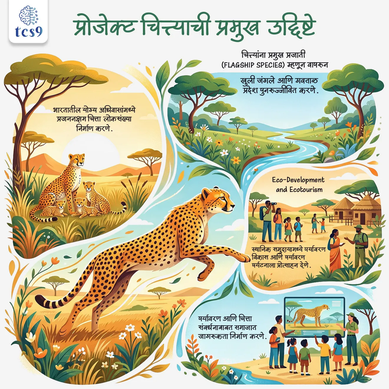 प्रोजेक्ट चित्ता म्हणजे काय ?

• लॅान्च : प्रोजेक्ट चित्ता हा भारत सरकारचा 2022 मध्ये सुरू केलेला महत्वाकांक्षी प्रकल्प आहे.
• उद्दिष्ट : सुमारे 70 वर्षांपूर्वी भारतातून नामशेष झालेल्या चित्त्यांना पुन्हा नैसर्गिक अधिवासात आणणे, हे या प्रकल्पाचे मुख्य उद्दिष्ट आहे.
• जगातील पहिला : हा प्रकल्प प्रोजेक्ट टायगर अंतर्गत राबवला जात असून, तो जगातील पहिला आंतरखंडीय मोठ्या मांसाहारी प्राण्यांचा स्थलांतर प्रकल्प मानला जातो.

प्रोजेक्ट चित्त्याची प्रमुख उद्दिष्टे कोणती ?
• भारतातील योग्य अधिवासांमध्ये प्रजननक्षम चित्ता लोकसंख्या निर्माण करणे.
• चित्त्यांना प्रमुख प्रजाती (Flagship Species) म्हणून वापरून,
• खुली जंगले आणि गवताळ प्रदेश पुनरुज्जीवित करणे.
• स्थानिक समुदायामध्ये पर्यावरण विकास आणि पर्यावरण पर्यटनाला (Eco-Development and Ecotourism)  प्रोत्साहन देणे.
• पर्यावरण आणि चित्ता संवर्धनाबाबत समाजात जागरूकता निर्माण करणे.