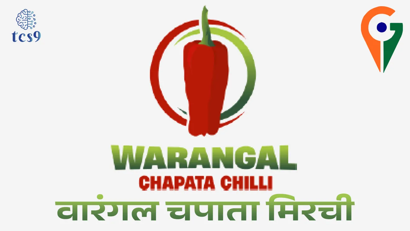 Warangal Chapata Chilli Receives GI Tag, Tomato Chilli, Warangal Chapata Chilli, Geographical Indication tag, GI Tag, Warangal, Hanmakonda, Mulugu, Bhupalpally districts, Thimmampet Chilli Farmer Producer Company Limited, Sri Konda Laxman Telangana Horticultural University, Telangana GI TAG products, food export, food processing industries, GI tag, Geographical Indications Registry, bhaugolik sanketank mhanje Kay, bhaugolik sanketank padarth vastu, , bhaugolik sanketank utpadane, darjiling tea, Geographical Indication of goods (Registration and Protection) Act, How to get GI TAG, GI TAG Kasa milto, GI TAG products list, gi tag yadi, pib, News highlights, news headlines,  Chalu Ghadamodi 2025, Chalu Ghadamodi Marathi, Chalu Ghadamodi PDF Download, Chalu Ghadamodi Test Series, Chalu Ghadamodi Prashnottare, Mahatvachya Chalu Ghadamodi, Chalu Ghadamodi Sarav Prashna, Darrojchya Chalu Ghadamodi, Chalu Ghadamodi Marathi Masik, Talathi Chalu Ghadamodi 2025, Talathi Bharti Chalu Ghadamodi, Talathi Spardha Pariksha Chalu Ghadamodi, RRB Group D Chalu Ghadamodi Marathi, Railway Bharti Chalu Ghadamodi, RRB Sarav Prashna Chalu Ghadamodi, Maharashtra Police Bharti Chalu Ghadamodi, Police Bharti Chalu Ghadamodi Prashnottare, Maharashtra Police Chalu Ghadamodi 2025, SSC GD Chalu Ghadamodi Marathit, SSC Bharti Chalu Ghadamodi, SSC Prashnsancha Chalu Ghadamodi, Vanrakshak Bharti Chalu Ghadamodi, Vanrakshak Pariksha Chalu Ghadamodi, Vanrakshak Prashnapatrika Chalu Ghadamodi, Agniveer Bharti Chalu Ghadamodi 2025, Agniveer Spardha Pariksha Chalu Ghadamodi, Agniveer Sarav Prashna Chalu Ghadamodi, tcs chalu ghadamodi, ibps chalu ghadamodi, chalu Ghadamodi Marathi,   current Affair marathi madhe, 2024 cha chalu Ghadamodi,   police Bharti chalu Ghadamodi,   police Bharti prashnasanch,   police Bharti GK prashna,   Mpsc chalu Ghadamodi,   sarkari Naukri,   sarkari job,   sarkari yojna,   Maharashtra cha chalu Ghadamodi,   Maharashtra government yojna,   PSI syllabus, PSI cutoff,   police Bharti syllabus,   police Bharti cutoff,   police Bharti merit,   MPSC Sathi book,   MPSC Sathi pustak,   police Bharti Sathi pustak,   police Bharti magil prashnapatrika,   MPSC previous years question papers,   Mumbai police Bharti,   Mumbai police Bharti Lekhi kadhi ahe,   government GR,   police Bharti result,   MPSC result,   SSC GD merit,   sscgd syllabus,   army Bharti merit,   army Bharti result,   UPSC Marathi,   combine pariksha,   talathi,   talathi syllabus,   talathi cutoff,   talathi book list,   talathi result,   talathi merit, tcs mock test, tcs pattern, ibps pattern, tcs pyq, tcs sarav paper, tcs talathi paper, tcs pattern notes, tcs prashnasanch, tcs gk gs, tcs maths, tcs talathi,  talathi jaga kiti ahe,   saralseva exam,   saralseva pariksha,   saralseva result,   zilha parishad Bharti,   zilha parishad prashnapstrika, dinvishesh, Chalu Ghadamodi Marathi madhun, current Affair marathi madhe, headline-news, maharashtra-news, jhattpatt-batmya, pib, marathi batmya, government new channel, Pib, akashvani, the Hindu, Indian express, Loksatta, Lokmat, Dainik Bhaskar, sansad news, editorial, sampadkiya, vishleshan, Loksabha news, rajyasabha news, SSC GD notes, sscgd question papers, sscgd exam answer, results, SSC GD admit card, sscgd ground, exam centre, mpsc main answer writing, maharashtra police recruitment 2025, maharashtra police exam updates, maharashtra police bharti latest news, maharashtra police exam calendar 2025, maharashtra police exam syllabus pdf download, maharashtra police bharti exam pattern 2025, maharashtra police constable syllabus, physical test details maharashtra police, maharashtra police bharti admit card 2025, maharashtra police hall ticket download, maharashtra police exam admit card date, maharashtra police study material pdf, maharashtra police exam preparation tips, maharashtra police mock tests free, best books for maharashtra police exam, maharashtra police bharti previous year papers pdf, maharashtra police constable sample papers, maharashtra police si model question papers, maharashtra police eligibility criteria 2025, age limit for maharashtra police bharti, educational qualification maharashtra police, maharashtra police result 2025, maharashtra police merit list, maharashtra police exam cutoff marks, maharashtra police online application 2025, maharashtra police physical test details, document verification for maharashtra police bharti, maharashtra police recruitment 2024, maharashtra police exam calendar 2024, maharashtra police bharti exam pattern 2024, maharashtra police bharti admit card 2024, maharashtra police eligibility criteria 2024, maharashtra police result 2024, maharashtra police online application 2024, RRB Group D, Railway Group D, Railway Recruitment Board Group D, Railway Group D Exam, Railway Group Notification, Railway Group D Vacancy, Railway Group D Syllabus, Railway Group D Eligibility, Railway Group D Application, Railway Group D Admit Card, Railway Group D Result, Railway Group D Cut Off, Railway Group D Salary, Railway Group D Jobs, RRB Group D Study Material, RRB Group D Previous Papers,  RRB Group D Mock Tests, RRB Group D Exam Pattern, current Affair, General Science, GK, GS, General  Awareness, current  affairs marathi , Mathematics, General Intelligence and reasoning, RRB chalu Ghadamodi, RRB Group D marathi notes, samanya vinyan, samanya, nyan, railway notes marathi madhe, railway pagar, pagar ani bhatta, railway bharti notes marathi, railway bhartichi tayari kashi karaychi, railway bharti magil varshanche prashnapatrika, railway bhartipyq, railway bharti prashnasanch, railway bharti test paper, railwetvnokrichi sandhi, railway job, railway bharticha syllabus, railway bharti pattern, railway bharti imp prashn, railway bhartila vicharle janare prashn, competitive exam, spardha parisha, railway bharti online class, railway bharti class, railway bharti chi tayari kashi karaychi,  RRB Group D Syllabus, RRB Group D Previous Papers, RRB Group D Exam Pattern, RRB Group D Eligibility Criteria, RRB Group D Notification, RRB Group D Application, RRB Group D Admit Card, RRB Group D Result, RRB Group D Cut Off, RRB Group D Salary, RRB Group D Jobs, RRB Group D Coaching, RRB Group D Study Material, RRB Group D Mock Tests, Railway Group D Level 1, RRB Group D 2025, RRB Group D Level 1, RRB Group D Posts, RRB Group D Exam Pattern, RRB Group D Exam Date, RRB Group D Online Application, RRB Group D Previous Papers, RRB Group D Preparation Tips, RRB Group D Study Material, RRB Group D Coaching, RRB Group D Mock Tests, How to prepare for RRB Group D exam, RRB Group D exam syllabus 2025, RRB Group D eligibility criteria 2025, RRB Group D application form 2025, RRB Group D admit card download, RRB Group D result date 2025, RRB Group D cut off marks 2025, RRB Group D salary and allowances, Best books for RRB Group D exam, Online coaching for RRB Group D, Railway Group D , RRB Group D, Railway Jobs , Government Jobs, Railway Recruitment, RRB Group D Exam, Railway Group D Vacancy, RRB Group D Notification, Railway Group D Application, RRB Group D Salary, aajcha dinveshesh, suvichaar, jagtik dinveshsh, dinveshsh