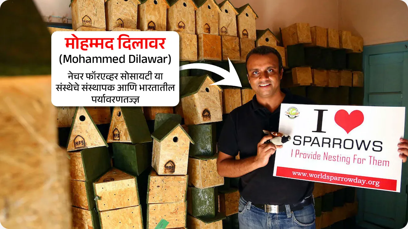 जागतिक चिमणी दिन
World Sparrow Day



📚 Subject : GS - दिनविशेष, पर्यावरण

सरळसेवा, तलाठी, वनरक्षक, पोलीस भरती, अग्निवीर , रेल्वे भरती, SSC GD, MPSC, UPSC परीक्षेसाठी विचारलेले / संभाव्य महत्त्वपूर्ण  प्रश्न

प्रश्न) जागतिक चिमणी दिन कधी साजरा केला जातो ? 
(महाराष्ट्र पोलीस,  पुणे पोलीस भरती 2021)

1. 21 मार्च
2. 20 मार्च
3. 3 मार्च
4. 1 मार्च

उत्तर : 20 मार्च

📰 बातमी काय ?
•  दरवर्षी जागतिक चिमणी दिन 20 मार्च रोजी साजरी केला जातो. 
• चिमणीला,  हिंदी मध्ये “गोरैया” , तमिळ मध्ये “कुरुवी” आणि उर्दू त “चिरिया” अशा नावानेही ओळखले जाते.

🐣 जागतिक चिमणी दिन का साजरी करतात ? 
• चिमणी निसर्गाच्या अन्नसाखळीतला एक महत्त्वाचा घटक आहे. 
• वाढतं शहरीकरण, प्रदूषण यांचा परिणाम चिमण्यांच्या संख्येवर होत असून हा पर्यावरणाच्या दृष्टीने धोका आहे. 
• चिमण्यांच्या घटत्या संख्येबद्दल जागरूकता निर्माण करणे आणि त्यांचे संरक्षण करणे.
•  त्याचप्रमाणे चिमण्यांचे संवर्धन करण्याच्या उद्देशाने दरवर्षी 20 मार्च हा दिवस जागतिक चिमणी दिन म्हणून जगभरात साजरा केला जातो. 


🧐 पहिला जागतिक चिमणी दिन केव्हा साजरी करण्यात आला ? 

• पहिला जागतिक चिमणी दिन 20 मार्च 2010 रोजी साजरी करण्यात आला. 
• भारताच्या, नेचर फॉरएव्हर सोसायटी आणि फ्रान्सच्या इको-सिस अॅक्शन फाउंडेशनच्या पुढाकाराने 20 मार्च हा दिवस जागतिक चिमणी दिन म्हणून अधिकृतपणे साजरा होऊ लागला. 
• नेचर फॉरएव्हर सोसायटी या संस्थेची स्थापना भारतातील पर्यावरणतज्ज्ञ मोहम्मद दिलावर यांनी केली. 
• मोहम्मद दिलावर यांच्या कार्याची दखल घेऊन टाइम मासिकाने 2008 मध्ये त्यांना “हिरोज ऑफ द एन्व्हायर्नमेंट” सन्मान देऊन त्यांचा गौरव केला.

❤️ 2026 या वर्षी जागतिक चिमणी दिनाची संकल्पना (थीम) कोणती ? 

• "आय लव्ह स्पॅरोज" (I Love Sparrows) "  ही 2026 या वर्षाची जागतिक चिमणी दिनाची संकल्पना आहे.
• या संकल्पनेचा मुख्य उद्देश चिमण्यांशी असलेले मानवी नाते अधिक दृढ करणे आणि त्यांच्या संरक्षणासाठी जनसहभाग वाढवणे हा आहे.

🐣 चिमण्यांचे पर्यावरणीय महत्त्व :
• पर्यावरणीय संतुलन राखण्यात चिमण्या महत्त्वाची भूमिका बजावतात.
• जैवविविधता संवर्धन : चिमणी शहरी आणि ग्रामीण दोन्ही भागात निरोगी परिसंस्थेचे सूचक (Indicators of a healthy ecosystem)  म्हणून काम करते.
• नैसर्गिक कीटक नियंत्रण : ते कीटक खातात, ज्यामुळे कीटकांवर नियंत्रण ठेवण्यास मदत होते.
• परागण आणि बीजप्रसार : त्यांच्या कृतीमुळे परागण आणि बीजप्रसार होऊन विविध वनस्पतींची वाढ होण्यास मदत होते.

🧐 चिमणी कोणत्या राज्याचा/ केंद्र शासित प्रदेशाचा राज्यपक्षी आहे ? 
• चिमणी बिहार आणि दिल्लीचा राज्य पक्षी आहे. 


🔑 परीक्षेच्या दृष्टीने IMP रिव्हिजन पॉईंट्स : World Sparrow Day

• जागतिक चिमणी दिन - 20 मार्च
• पहिल्यांदा साजरा – 20 मार्च 2010
• पुढाकार – नेचर फॉरएव्हर सोसायटी (भारत)
• नेचर फॉरएव्हर सोसायटी संस्थापक – मोहम्मद दिलावर (नाशिक)
• चिमणी राज्य पक्षी – बिहार व दिल्ली
• 2026 थीम – “आय लव्ह स्पॅरोज” (I Love Sparrows)