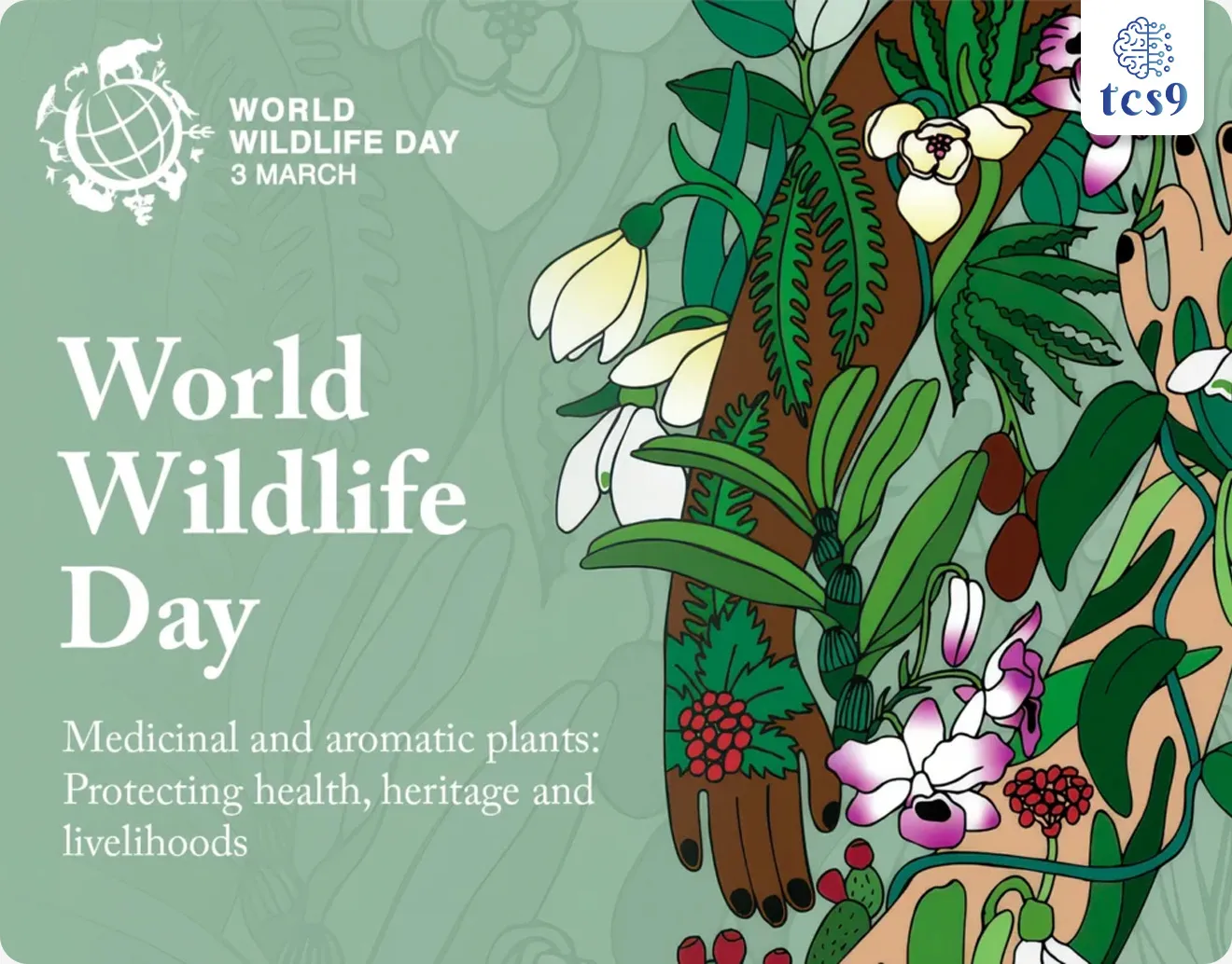 What is World Wildlife Day ?

Subject : GS - दिनविशेष, पर्यावरण

सरळसेवा, तलाठी, वनरक्षक, पोलीस भरती, अग्निवीर , रेल्वे भरती, SSC GD, MPSC, UPSC परीक्षेसाठी विचारलेले / संभाव्य महत्त्वपूर्ण  प्रश्न

प्रश्न) दरवर्षी जागतिक वन्यजीव दिन केव्हा साजरी करतात ?

1. 28 फेब्रुवारी 
2.  3 मार्च 
3. 13 मार्च 
4. 4 एप्रिल

उत्तर : 3 मार्च

3 मार्च हा दिवस जागतिक वन्यजीव दिन केव्हा घोषित केला ? 
• 20 डिसेंबर 2013 रोजी संयुक्त राष्ट्र महासभेने आपल्या 68 व्या अधिवेशनात 3 मार्च हा दिवस जागतिक वन्यजीव दिन म्हणून साजरा करण्याचे जाहीर केले.

3 मार्च हाच दिवस का ? 
• जागतिक पातळीवरील नागरिकांचे जीवन जल आणि जंगलावर अवलंबून आहे. 
• मात्र तरीही अनेक जंगली प्राण्यांच्या आणि वन संपत्ती ची तस्करी करण्याच्या घटना घडत आहेत. 
• त्याला आळा घालण्यासाठी 3 मार्च 1973 ला वन्यजीव आणि वनस्पतीच्या व्यापाराला रोखण्यासाठीच्या करारावर 180 देशांनी सही केली होती.
• वन्य प्राणी आणि वनस्पतींच्या लुप्तप्राय प्रजातींच्या आंतरराष्ट्रीय व्यापारावरील अधिवेशन (CITES: Convention on International Trade in Endangered Species of Wild Fauna and Flora) ३ मार्च १९७३ रोजी १८० देशांनी मान्य केले म्हणून या दिवसाचे महत्त्व ओळखून 3 मार्च हा दिवस जागतिक वन्यजीव दिन म्हणून जगभरात साजरा केला जातो. 

आपण जागतिक वन्यजीव दिन का साजरी करतो ?
• जागतिक वन्यजीव दिन पृथ्वीवरील वैविध्यपूर्ण आणि भव्य वन्यजीवांबद्दल जागरूकता वाढवण्यासाठी समर्पित आहे.
•  हा दिवस आपल्याला वन्यजीव संदर्भातील गुन्हेगारी आणि वन्य प्रजाती नष्ट करण्याच्या विरोधात लढा उभारण्याची प्रेरणा व आठवण करून देतो.

जागतिक वन्यजीव दिन 2026 ची संकल्पना ( थीम ) काय आहे ?
🎯 "औषधी आणि सुगंधी वनस्पती : आरोग्य, वारसा आणि उपजीविका जतन करणे"  ही यंदाची थीम आहे.
(Medicinal and Aromatic Plants: Conserving Health, Heritage and Livelihoods)
• वनस्पतींचे महत्त्व: जागतिक स्तरावर आरोग्यसेवा, संस्कृती आणि शाश्वत अर्थव्यवस्था टिकवून ठेवण्यासाठी या वनस्पती किती महत्त्वाच्या आहेत, यावर या वर्षी भर दिला गेला आहे.
• औषधी वनस्पतींना अधिवास नष्ट होणे, हवामान बदल आणि अतिउत्खनन यांपासून असलेला धोका अधोरेखित करणे हा यामागचा उद्देश आहे.